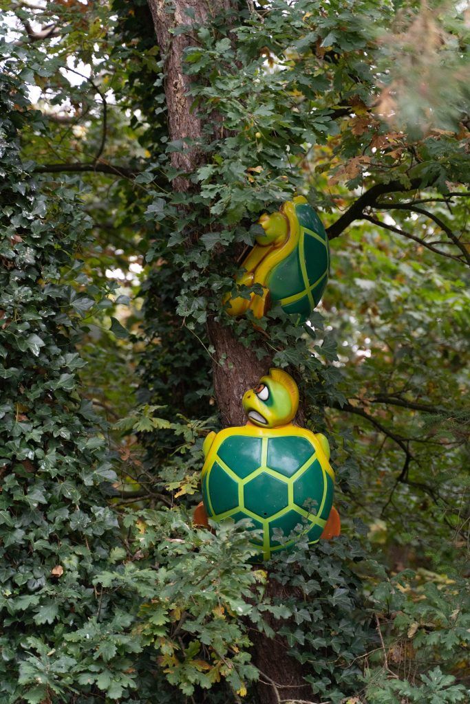 Pannenkoekenhuis_Oct_2022-6